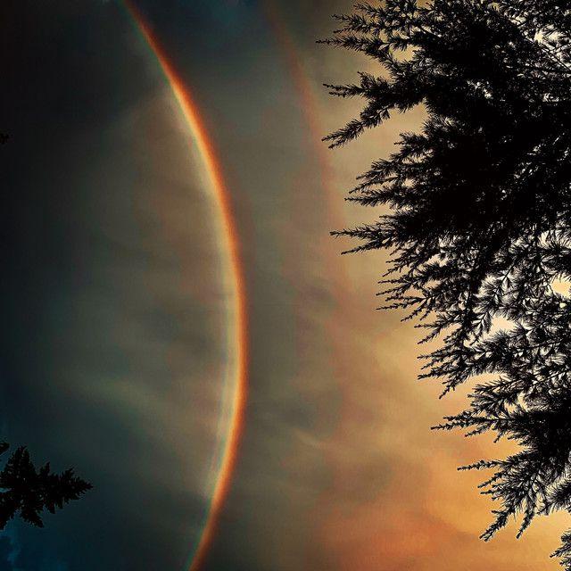 Capa do Álbum "Silver Temples", de Jutty Taylor