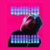 Capa do Álbum "Wonderland", de DYSN