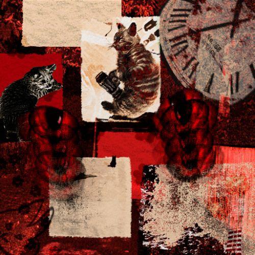 Album cover of "insomnia" by amotti