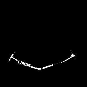 Capa do Álbum "UNIK", de DESSIIIK