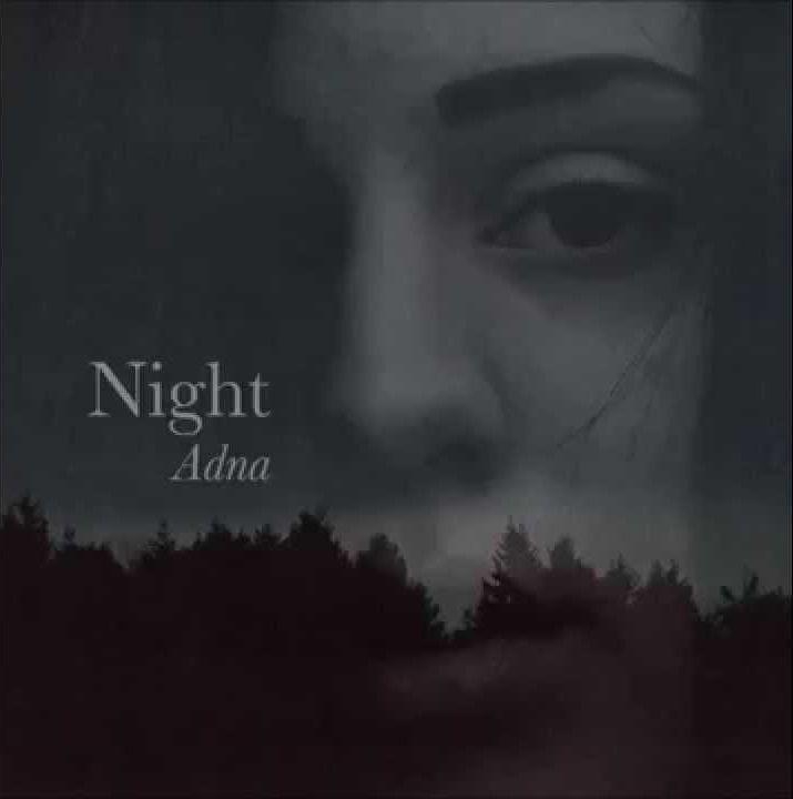Capa do álbum "Night (Single)", de Adna
