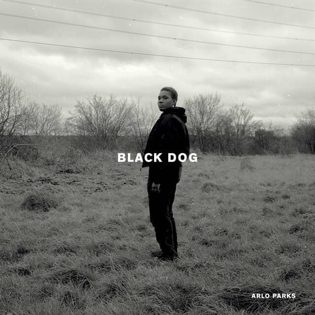 Capa do Single/EP "Black Dog", de Arlo Parks