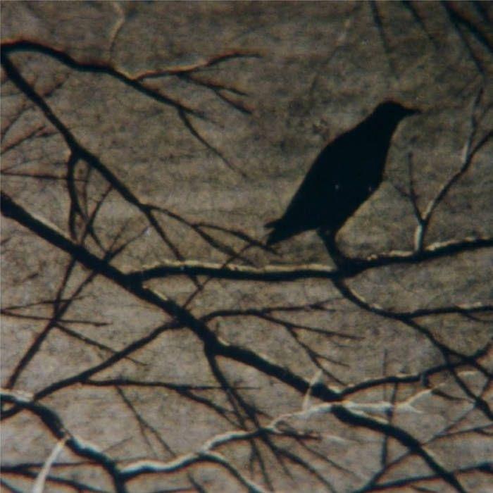 Capa do Álbum "o dia que a maré carregou nossos corpos", de Magnólia Caru