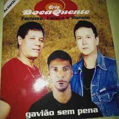 Portada de Álbum "Gavião Sem Pena", de Trio Boca Quente
