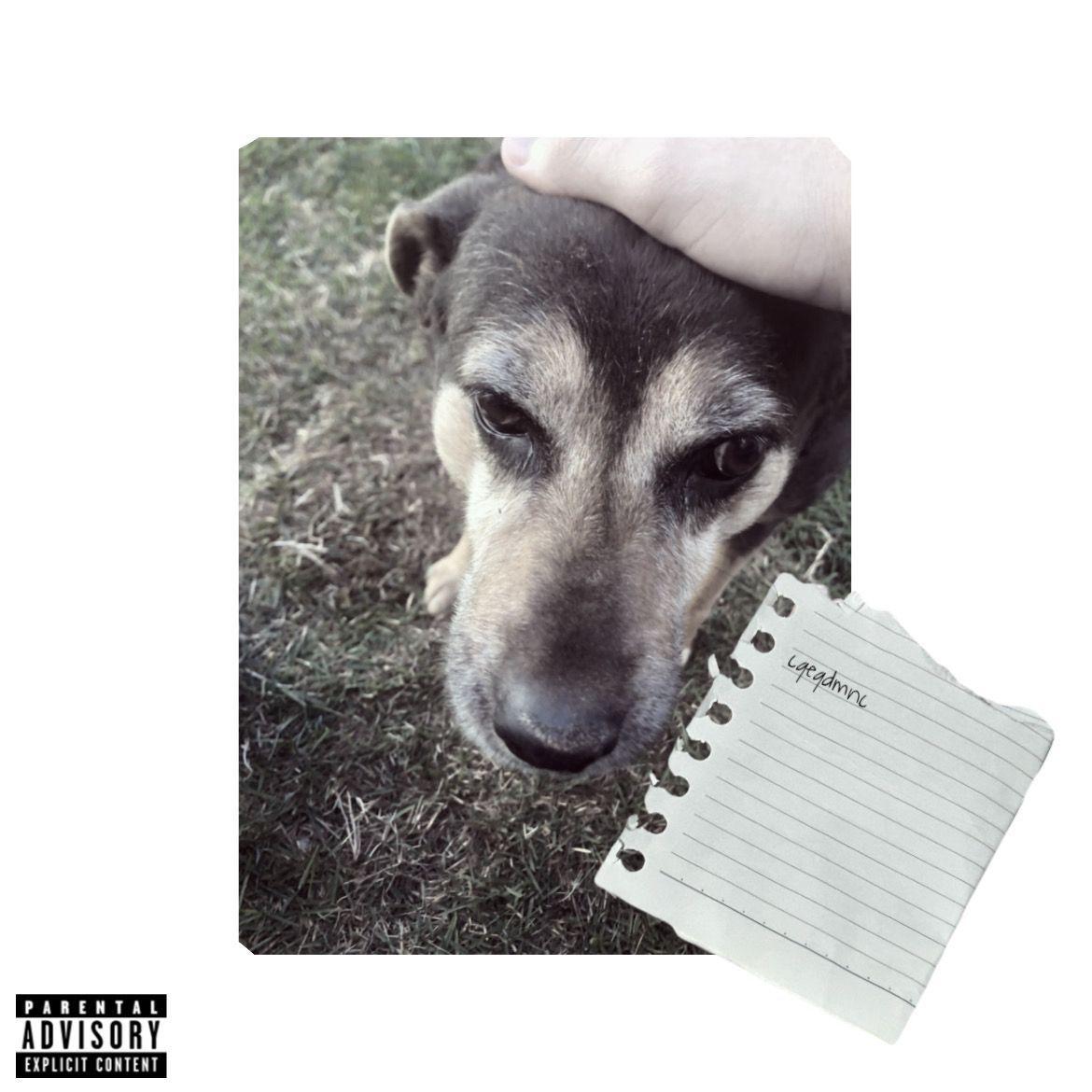 Capa do Single/EP "coisas que eu queria dizer, mas não consigo", de Pocalia