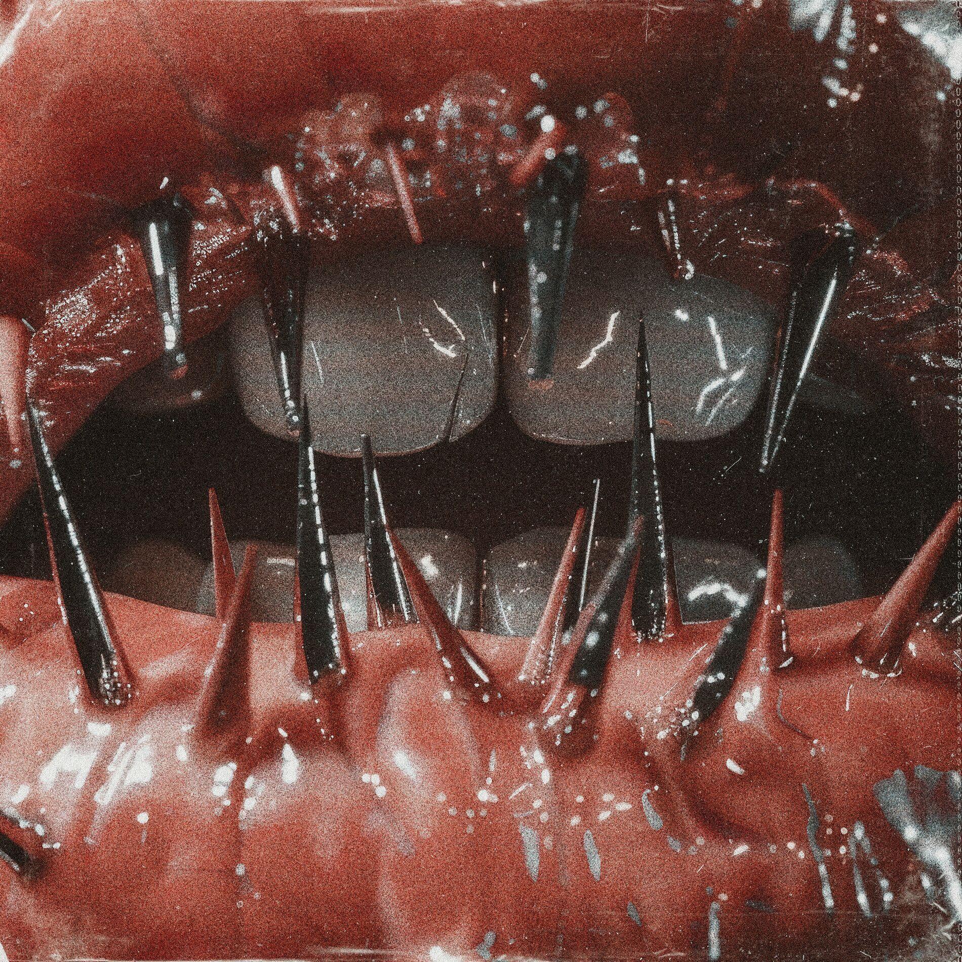 Portada de Álbum "The Temptation Of Pain", de Saltwound