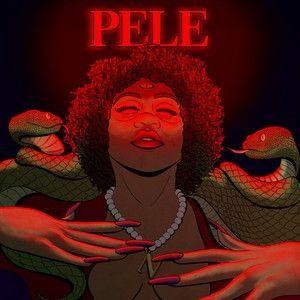 Capa do Álbum "PELE", de N.I.N.A