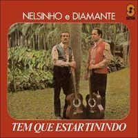 Portada de Álbum "Tem Que Estar Tinindo", de Diamante e Nelsinho