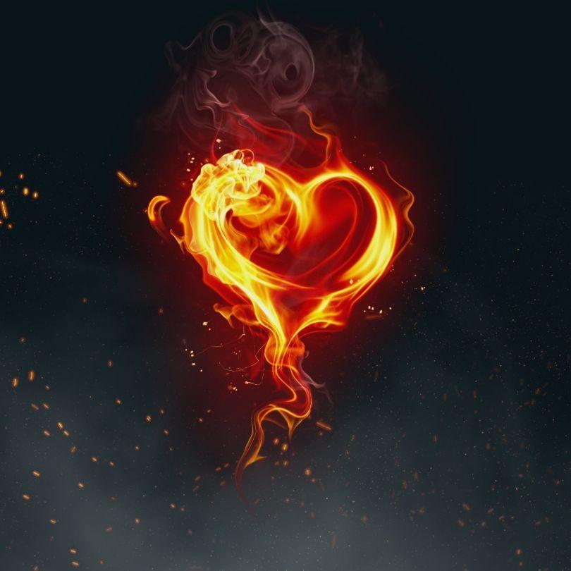 Portada de Álbum "Arca (Adorador do Rei, Com o Coração Aquecido)", de Luís Felipe Marques Lima