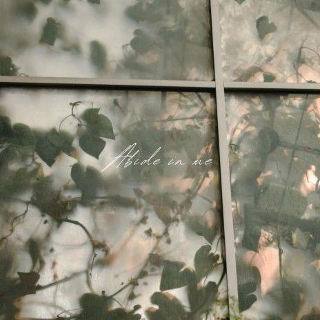 Portada de Sencillo/EP "Abide In Me", de Hillside Recording