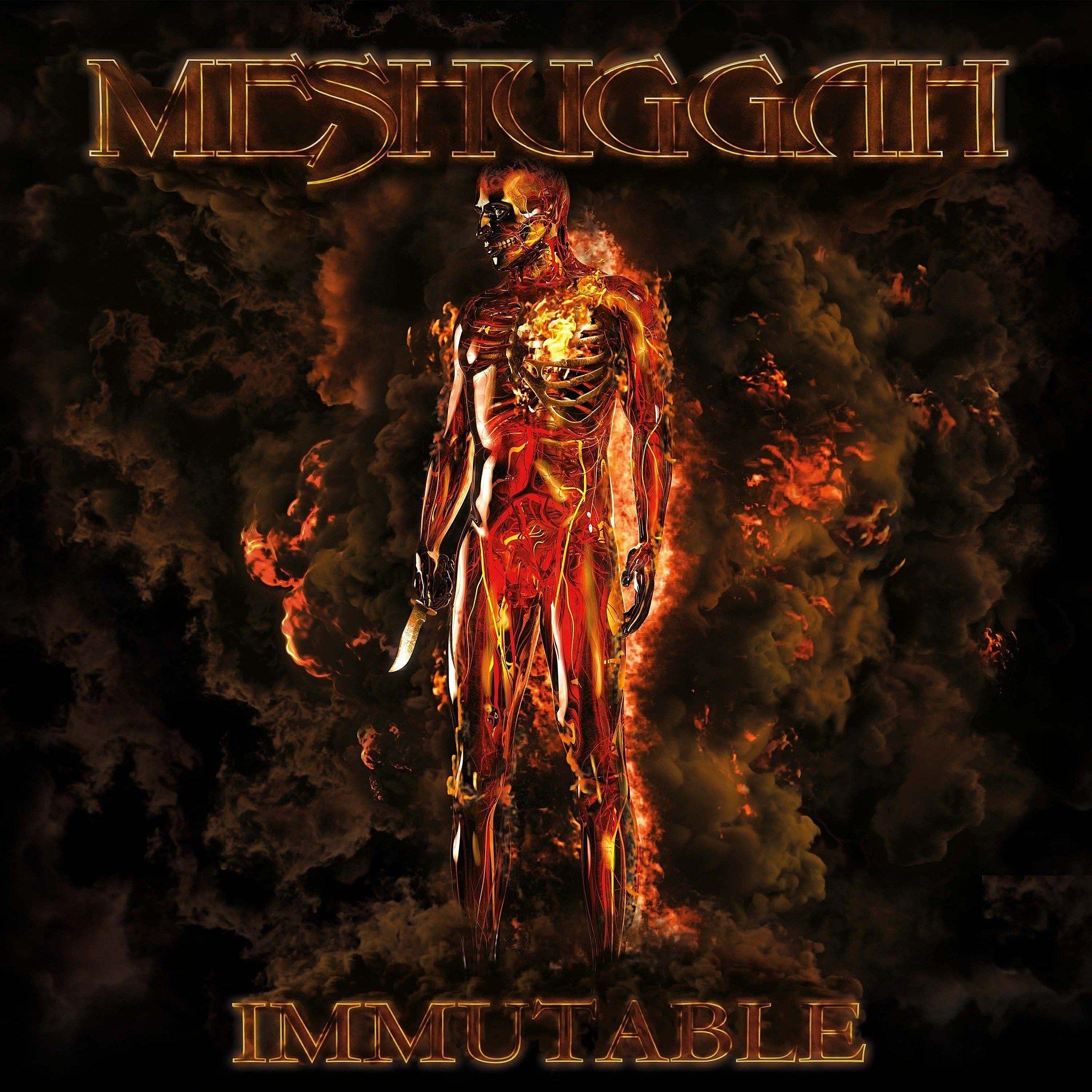 Album cover of "Immutable" by Meshuggah