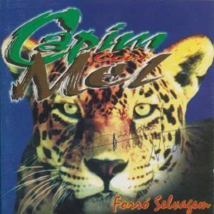 Portada de Álbum "Amor Selvagem", de Capim com Mel