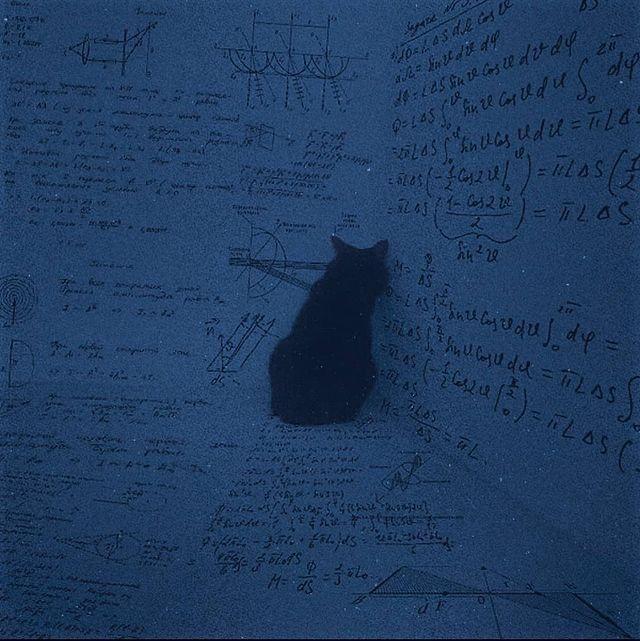 Portada del álbum "eternally", de Luke Lotus