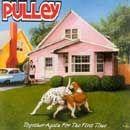 Album cover of "Together Again For The First Time" by Pulley