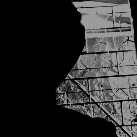 Portada de Álbum "Picking My Shards", de Black Ignation