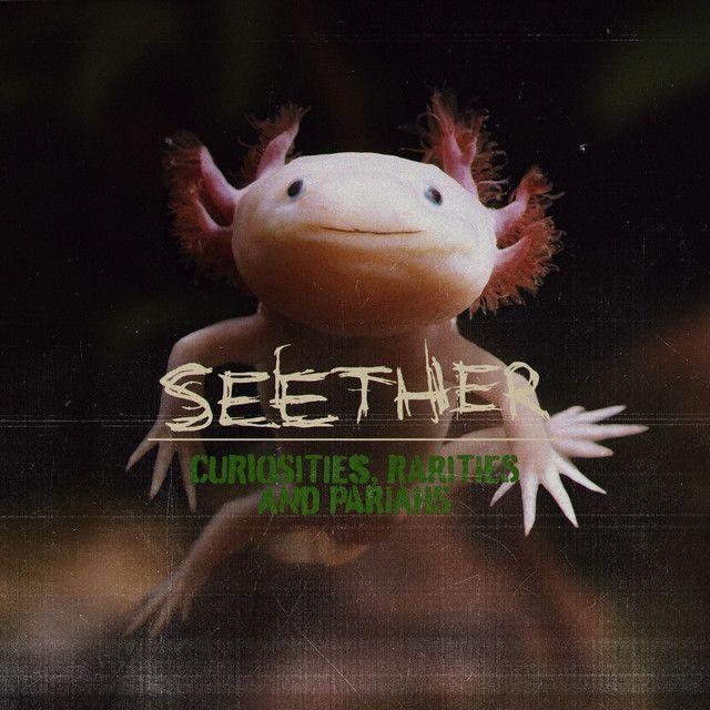 Portada de Álbum "Curiosities, Rarities And Pariahs", de Seether