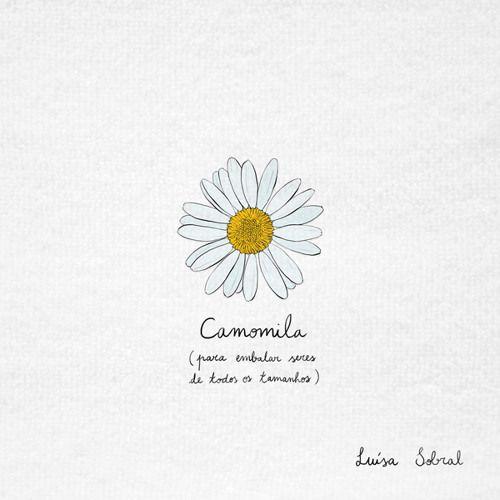 Album cover of "Camomila" by Luísa Sobral
