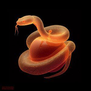 Album cover of "Psyche" by Skycabin