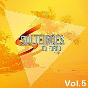 Capa do Álbum "Volume 05", de Solteirões do Forró