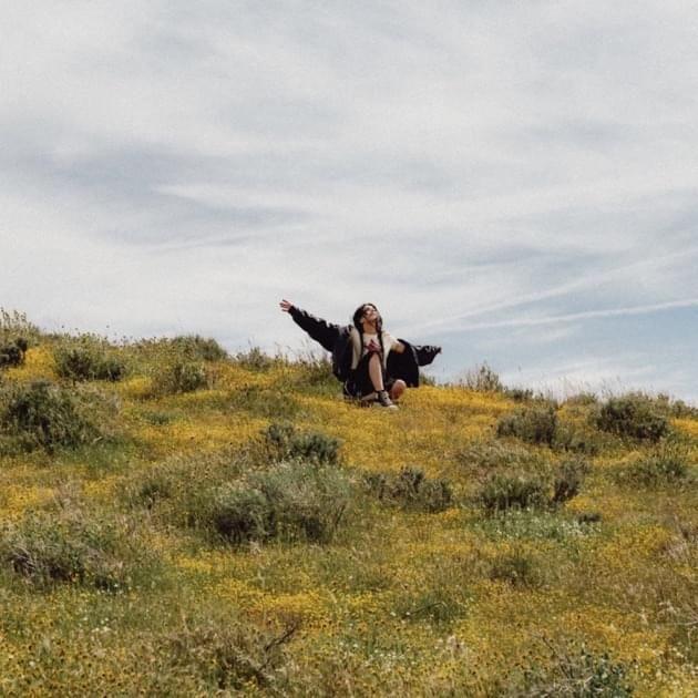 Capa do Single/EP "Seventeen", de Ally Nicholas