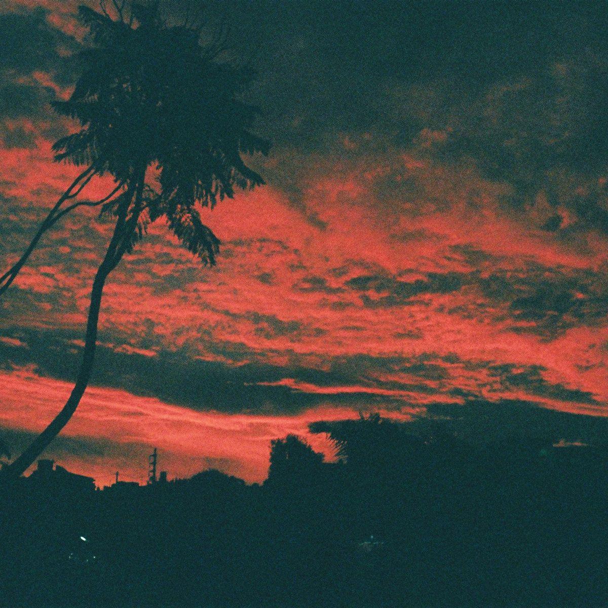 Album cover of "Aliso" by Malena Zavala