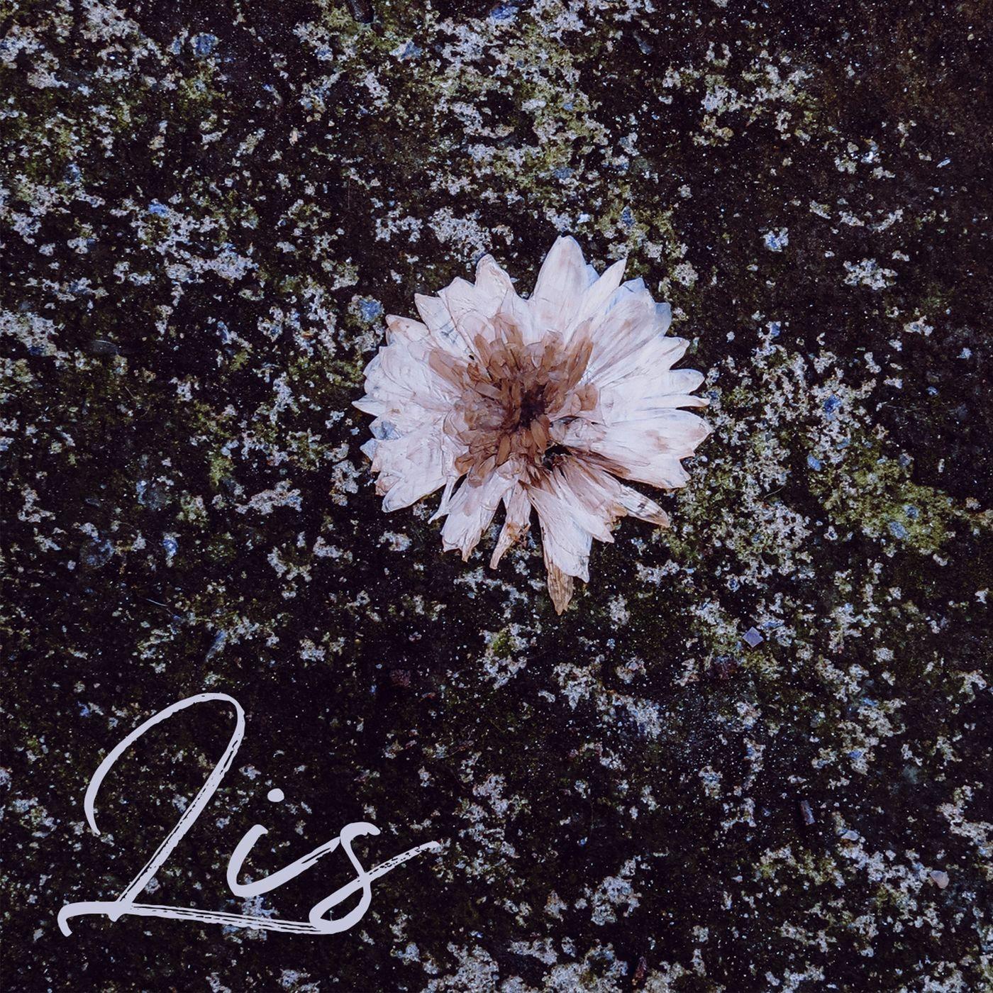 Capa do Álbum "Lis", de Path To Nihil