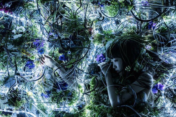 Portada de Álbum "Ninelie", de Aimer