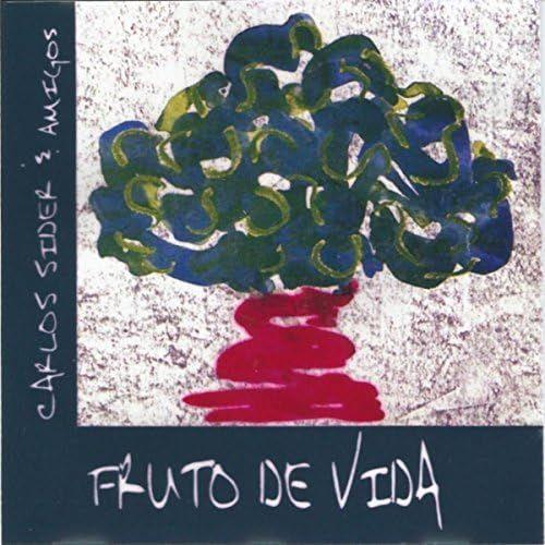 Portada de Álbum "Frutos de Vida, Vol. I", de Carlos Sider