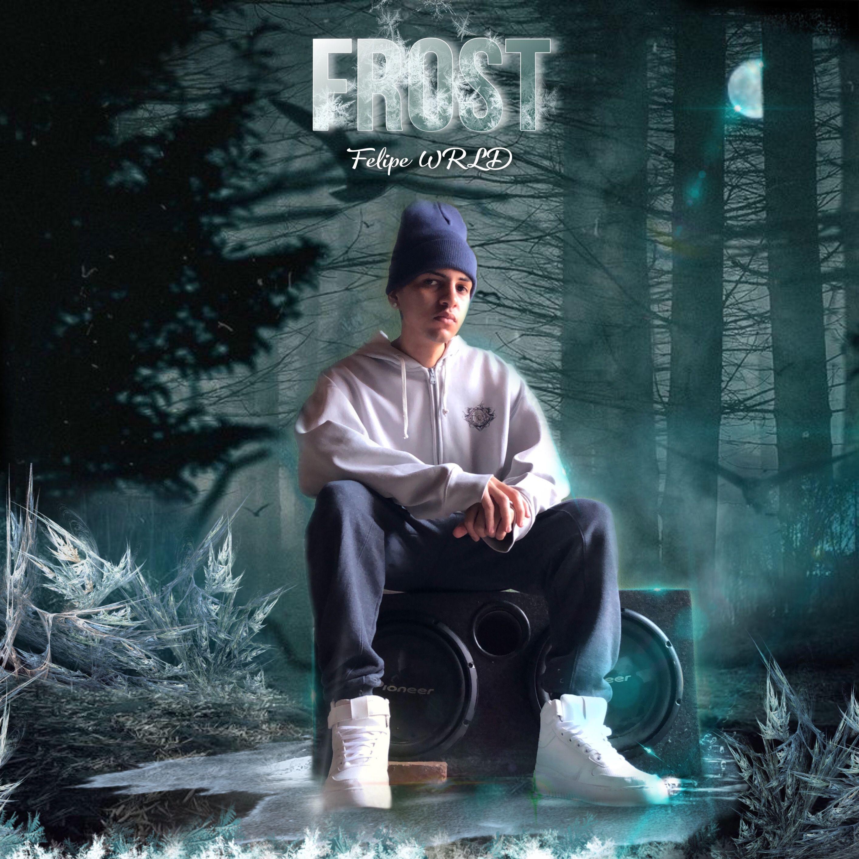 Single/EP cover of "FROST" by Felipe Wrld