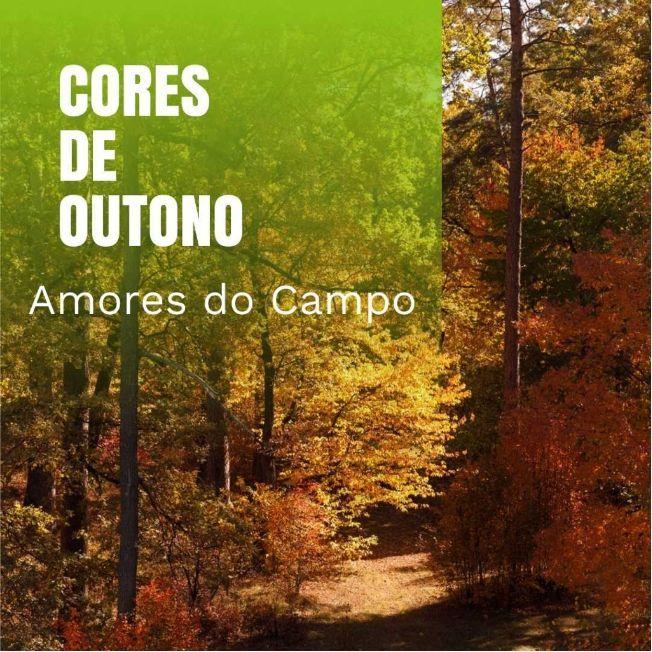 Portada de Álbum "Amores do Campo", de Banda Cores de Outono