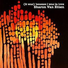 Portada de Álbum "(It Was) Because I Was In Love (Deluxe Reissue)", de Sharon Van Etten