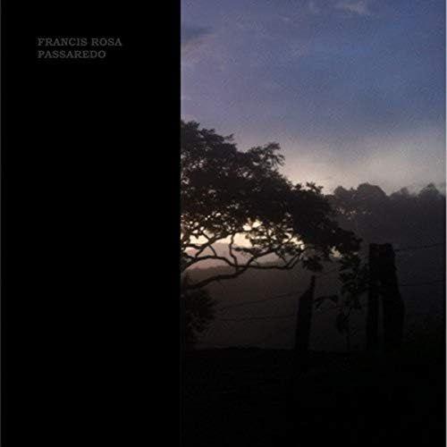 Album cover of "Passaredo" by Francis Rosa