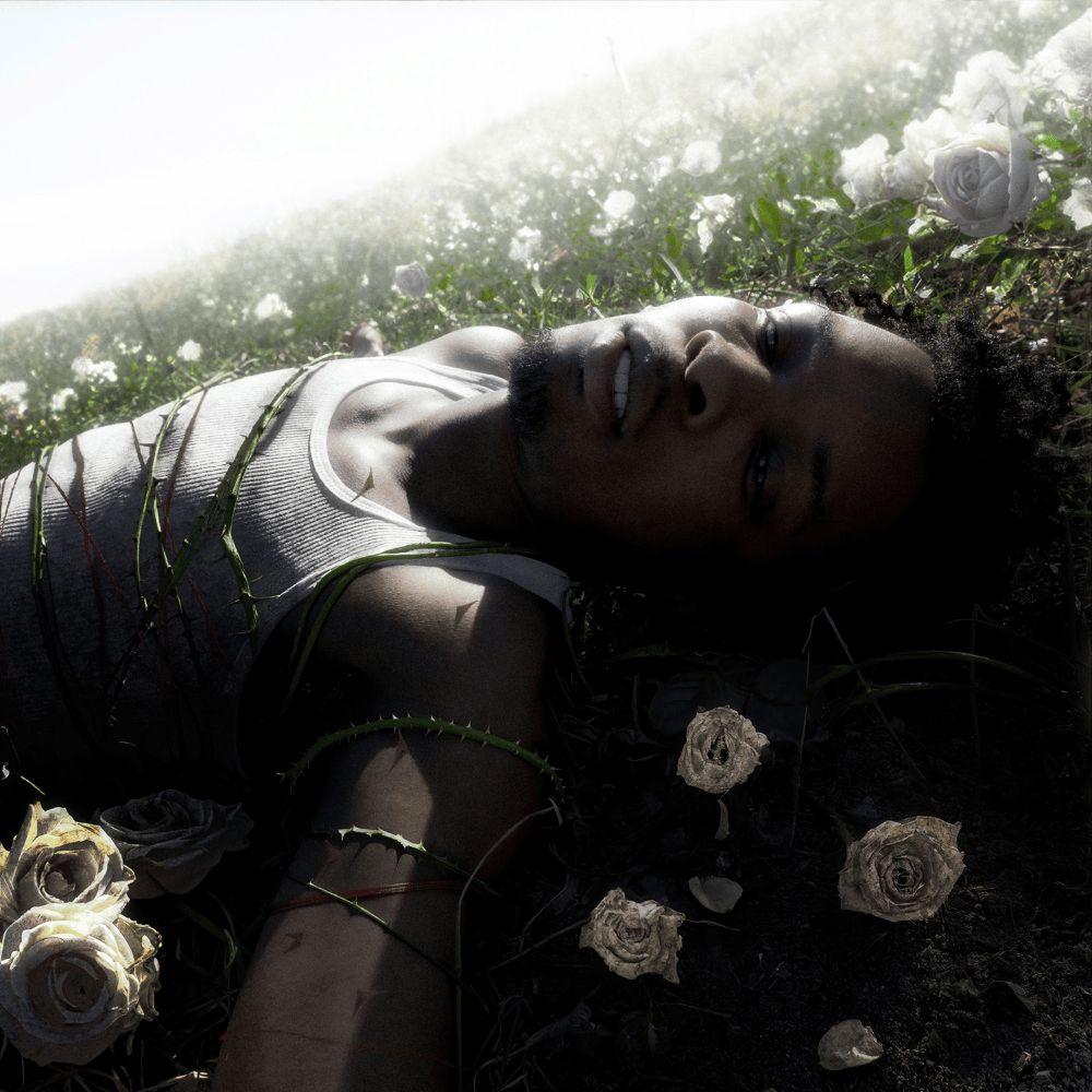 Capa do álbum "WITHERED", de d4vd