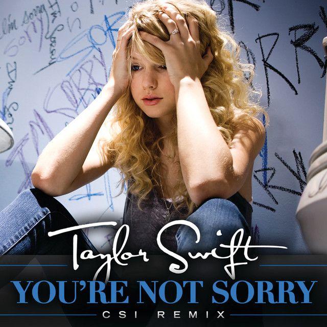 Album cover of "You're Not Sorry (CSI Remix)" by Taylor Swift