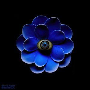 Album cover of "Somnia" by Skycabin