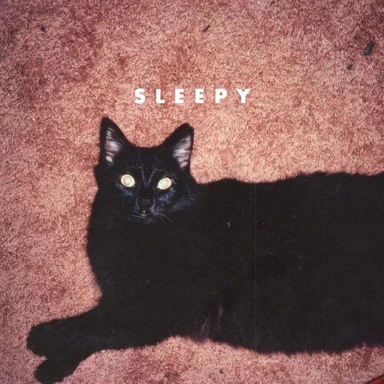 Capa do Álbum "Sleepy", de Oh!Hello