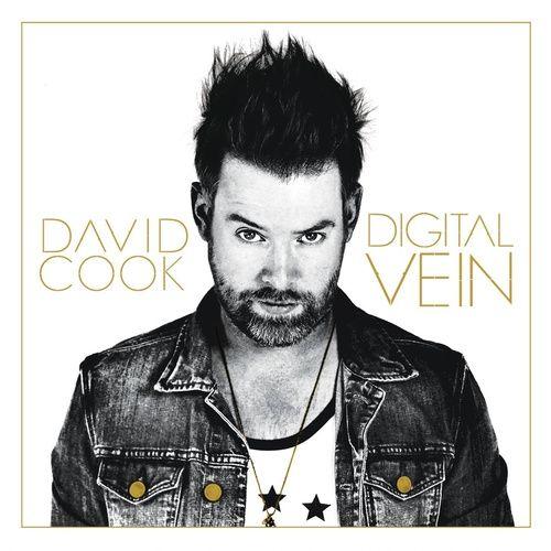 Capa do Álbum "Digital Vein", de David Cook