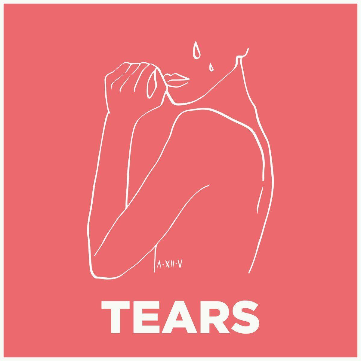 Portada del álbum "Tears", de As December Falls