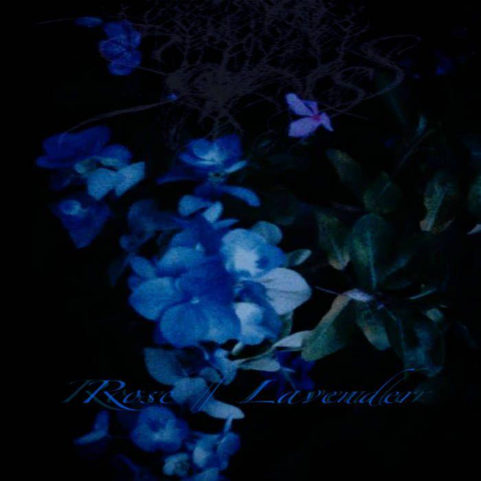 Portada del álbum "Rose / Lavender", de Sadness