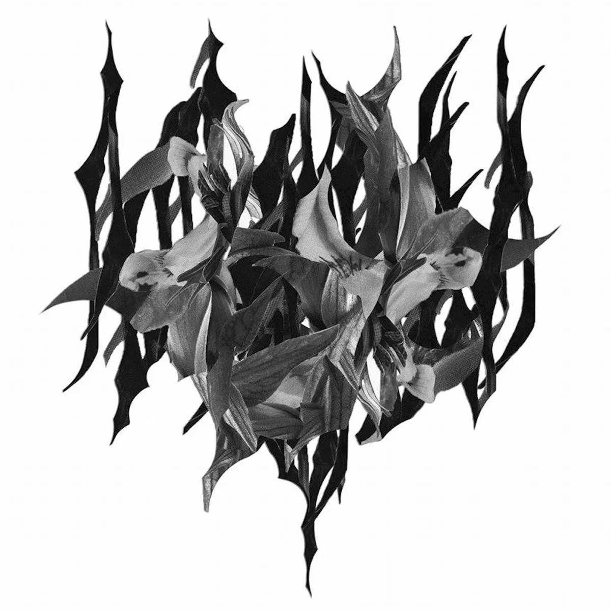 Album cover of "When Man Fails You" by Yves Tumor