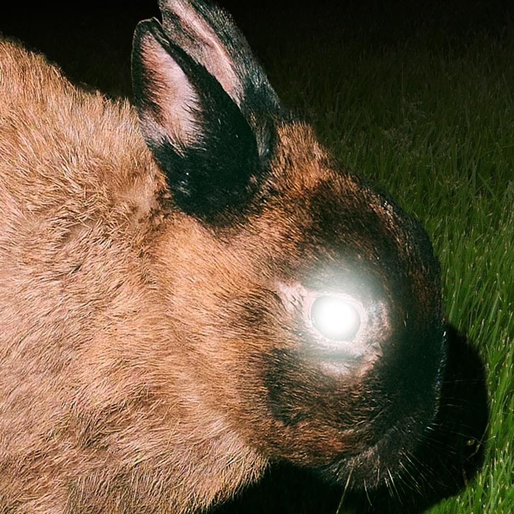 Album cover of "KILL THE GHOST" by Little Image