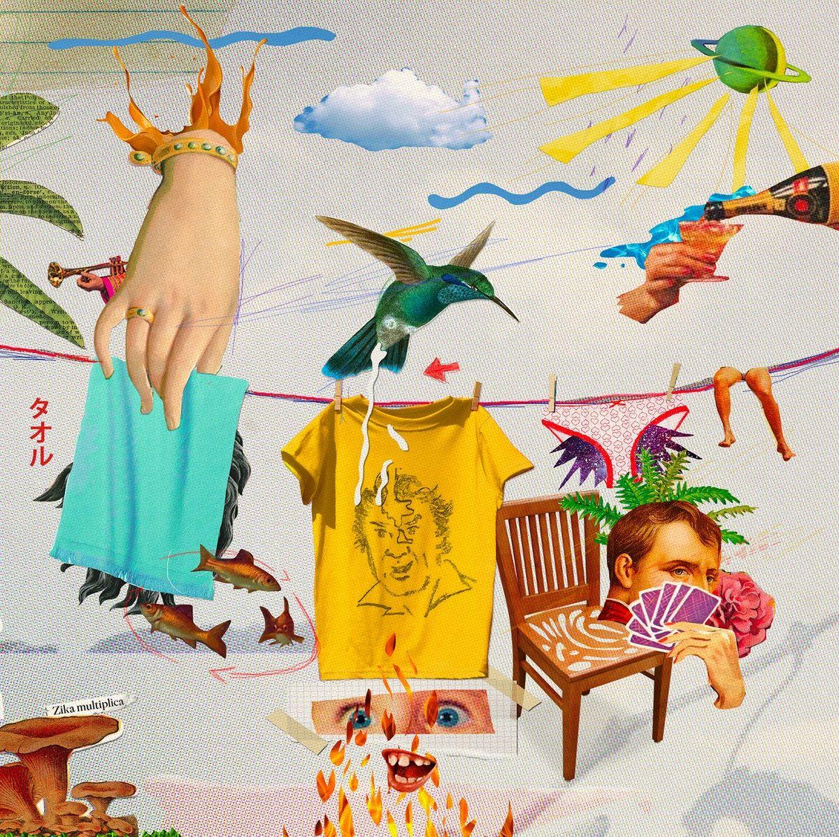 Portada de Álbum "A Vida É Uma Toalha Estendida No Varal", de Wander Wildner