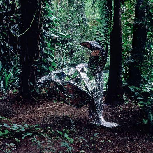 Capa do Álbum "Donkey", de CSS (Cansei de Ser Sexy)