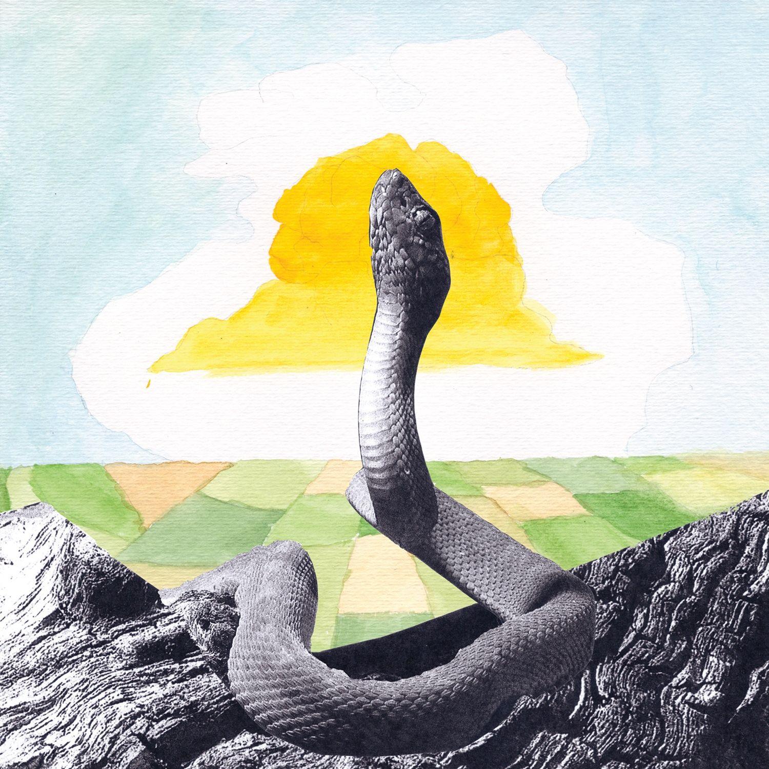 Capa do Álbum "Bend Beyond", de Woods