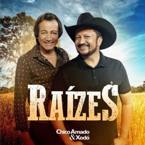 Portada de Álbum "Raízes", de Chico Amado e Xodó