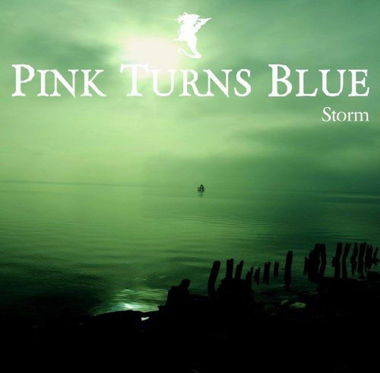 Portada de Álbum "Storm", de Pink Turns Blue