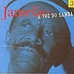 Portada de Álbum "A Voz do Samba - Vol. 3", de Jamelão