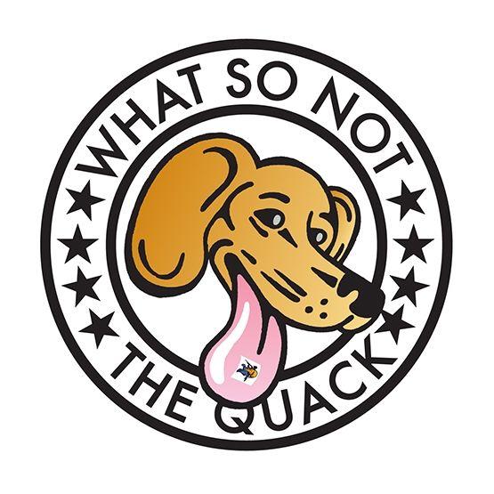 Capa do Álbum "The Quack", de What So Not
