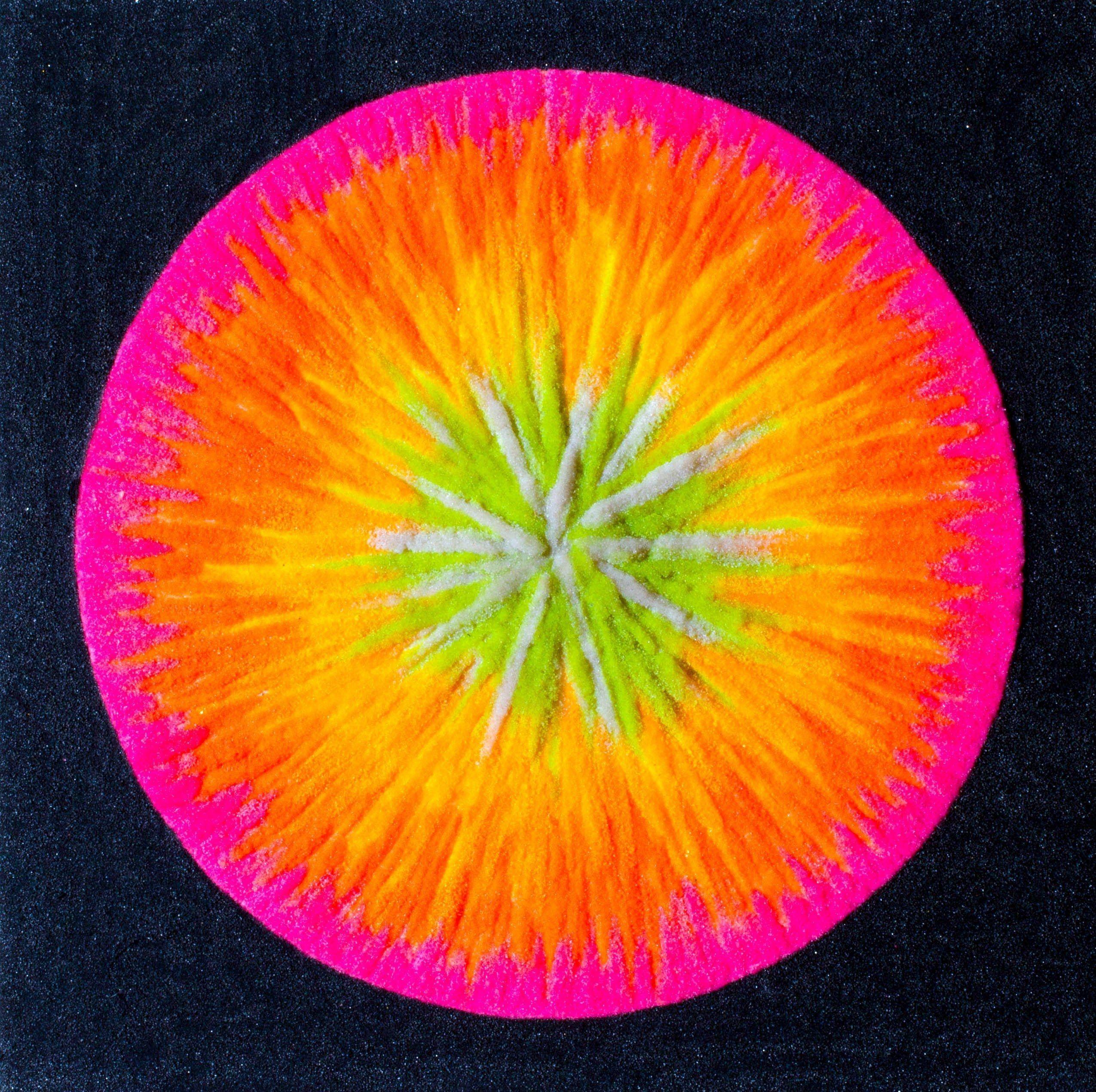 Capa do Álbum "Regeneration: Phase I", de Willett