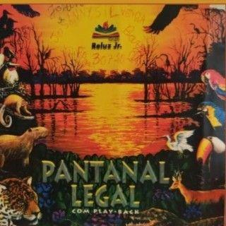 Portada de Álbum "Pantanal Legal", de Reluz Jr.